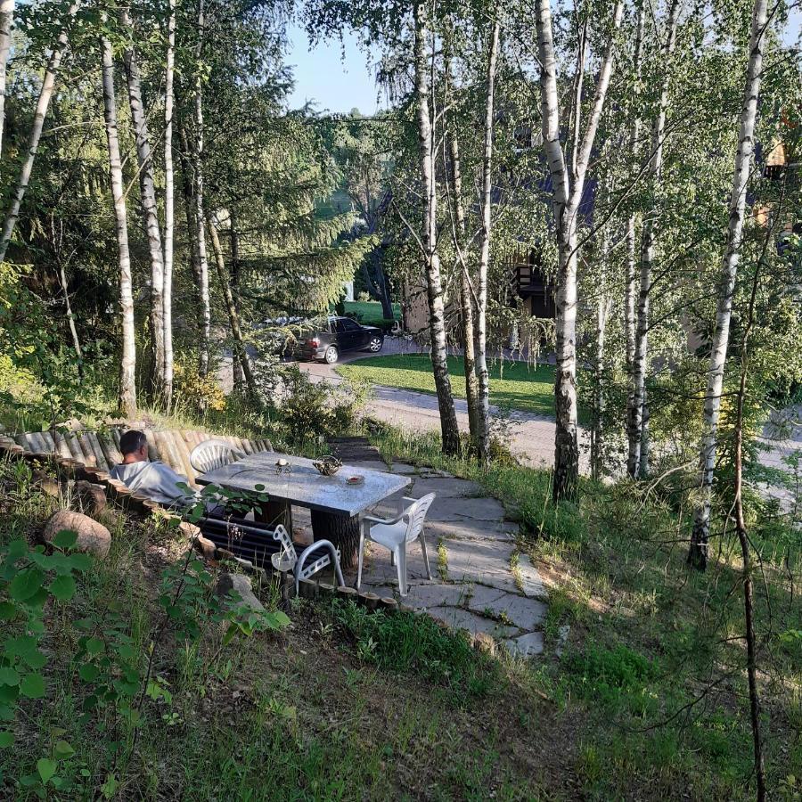 Agroturystyka Brzozowe Wzgorze Wlen Buitenkant foto