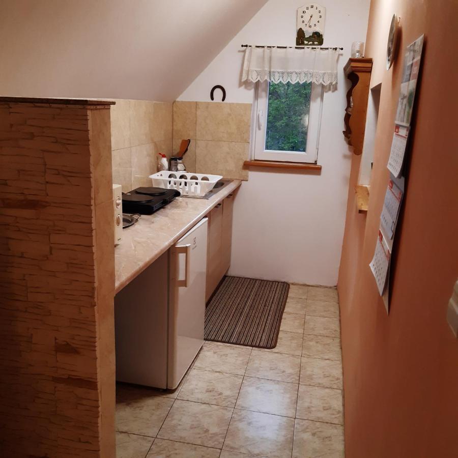 Agroturystyka Brzozowe Wzgorze Wlen Buitenkant foto